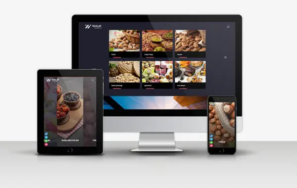 İmalat ve Dış Ticaret Web sitesi v2