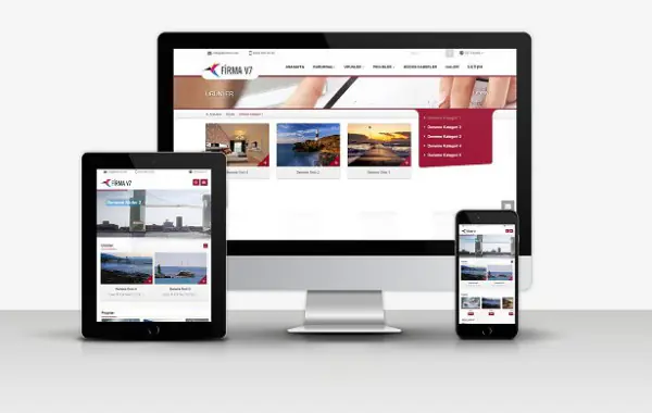Kurumsal Firma Web sitesi v7