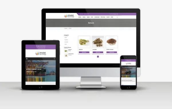 İmalat ve Dış Ticaret Web sitesi v1